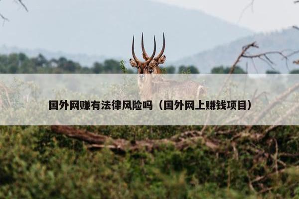 国外网赚有法律风险吗（国外网上赚钱项目）