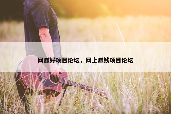网赚好项目论坛，网上赚钱项目论坛
