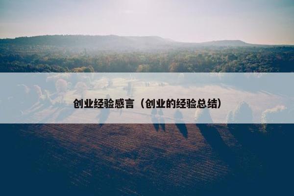创业经验感言（创业的经验总结）