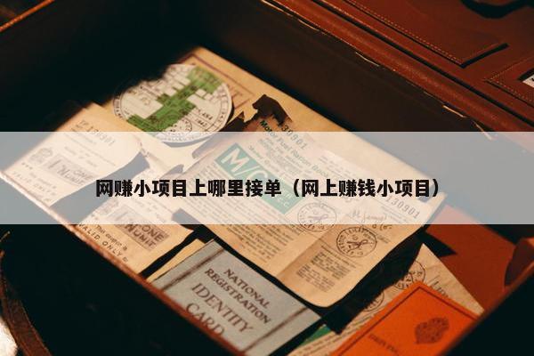网赚小项目上哪里接单（网上赚钱小项目）