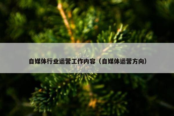 自媒体行业运营工作内容（自媒体运营方向）