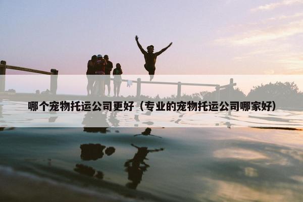 哪个宠物托运公司更好（专业的宠物托运公司哪家好）