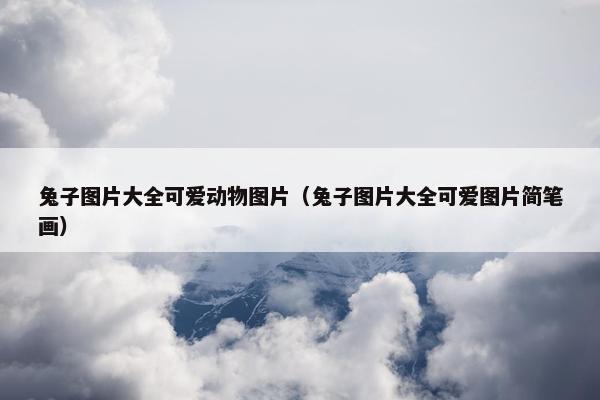 兔子图片大全可爱动物图片（兔子图片大全可爱图片简笔画）