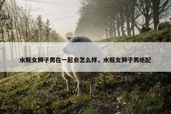 水瓶女狮子男在一起会怎么样，水瓶女狮子男绝配