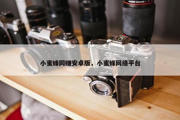 小蜜蜂网赚安卓版，小蜜蜂网络平台