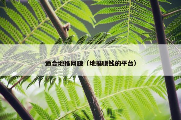 适合地推网赚（地推赚钱的平台）