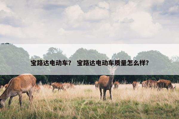宝路达电动车？ 宝路达电动车质量怎么样？