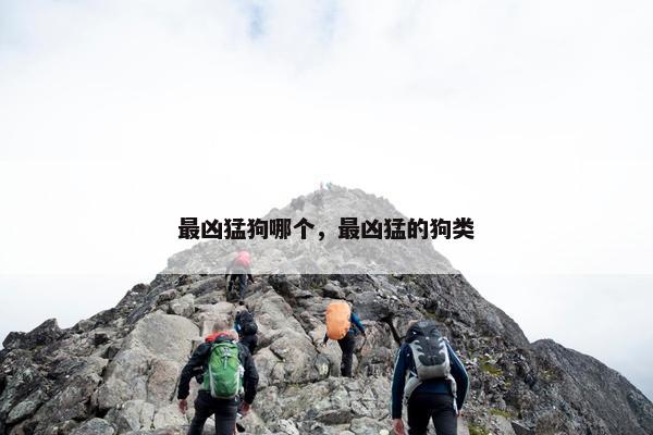 最凶猛狗哪个，最凶猛的狗类