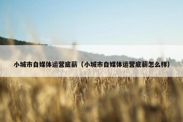 小城市自媒体运营底薪（小城市自媒体运营底薪怎么样）