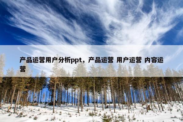 产品运营用户分析ppt，产品运营 用户运营 内容运营