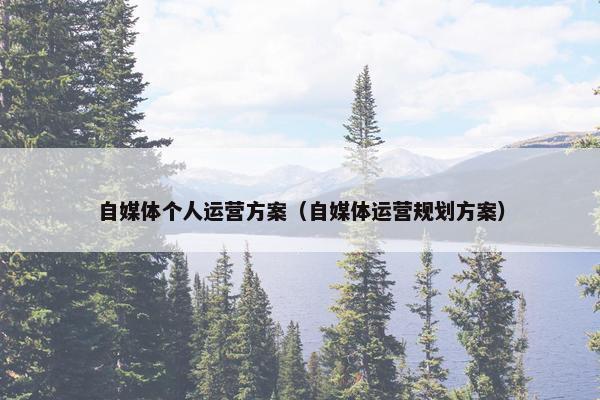 自媒体个人运营方案（自媒体运营规划方案）