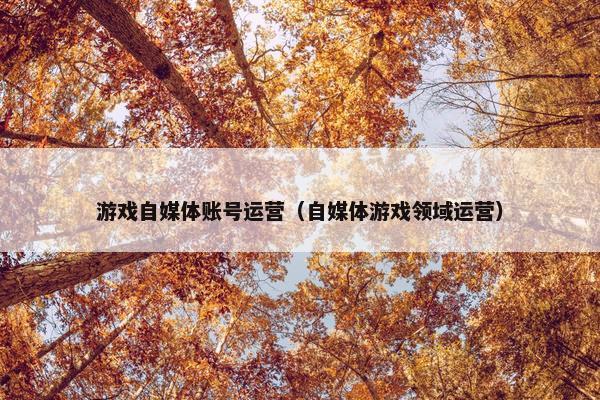 游戏自媒体账号运营（自媒体游戏领域运营）