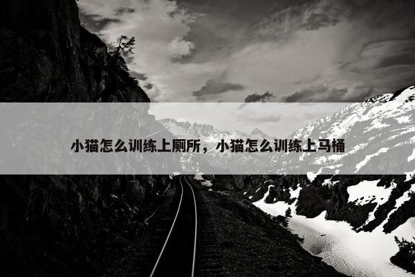 小猫怎么训练上厕所，小猫怎么训练上马桶