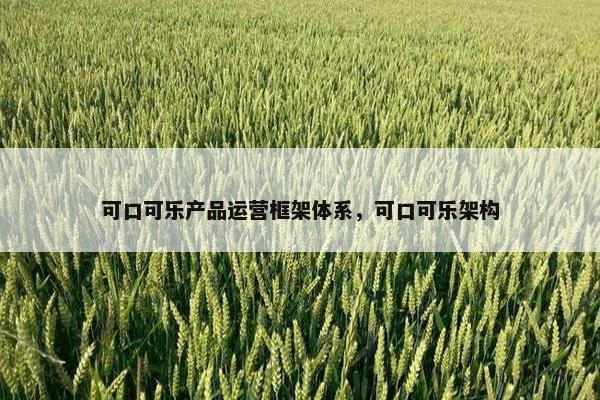 可口可乐产品运营框架体系，可口可乐架构