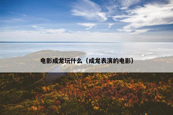 电影成龙玩什么（成龙表演的电影）