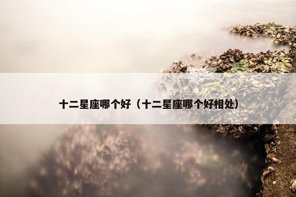 十二星座哪个好（十二星座哪个好相处）