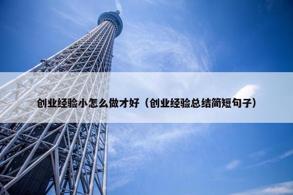 创业经验小怎么做才好（创业经验总结简短句子）