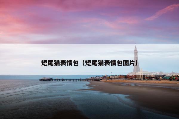 短尾猫表情包（短尾猫表情包图片）