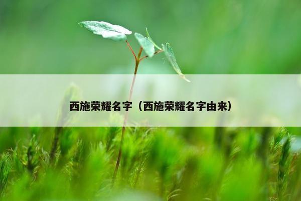 西施荣耀名字（西施荣耀名字由来）