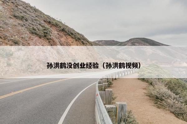 孙洪鹤没创业经验（孙洪鹤视频）
