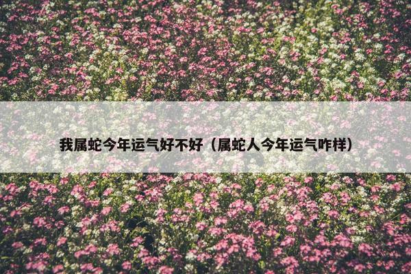 我属蛇今年运气好不好（属蛇人今年运气咋样）