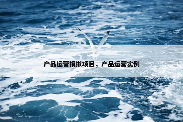 产品运营模拟项目，产品运营实例