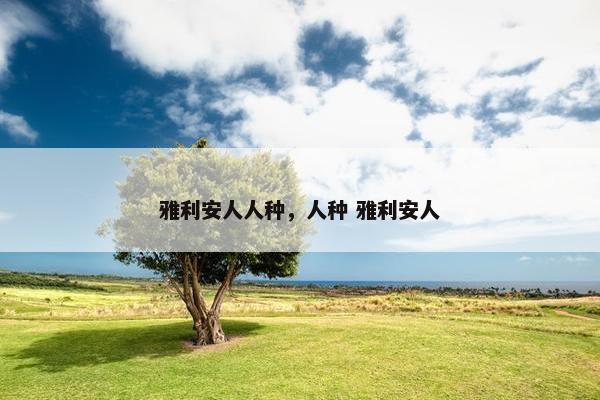 雅利安人人种，人种 雅利安人