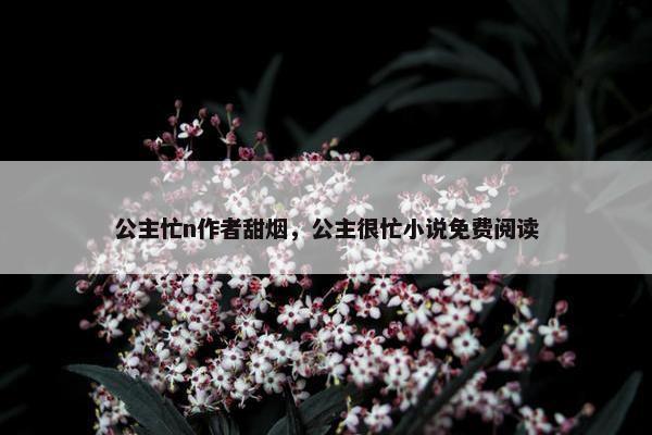 公主忙n作者甜烟，公主很忙小说免费阅读
