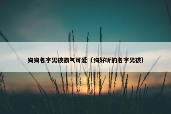 狗狗名字男孩霸气可爱（狗好听的名字男孩）