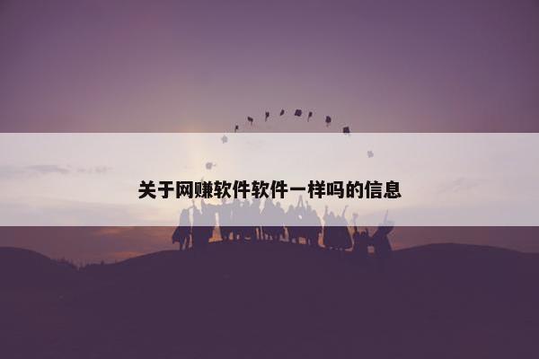 关于网赚软件软件一样吗的信息