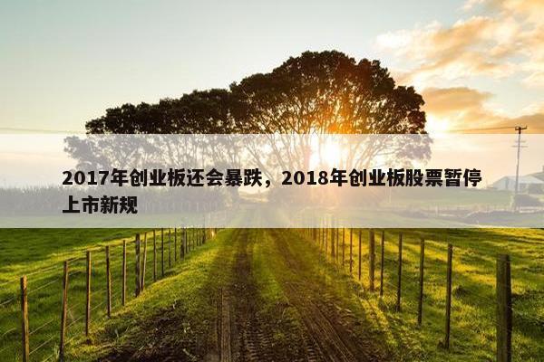 2017年创业板还会暴跌，2018年创业板股票暂停上市新规