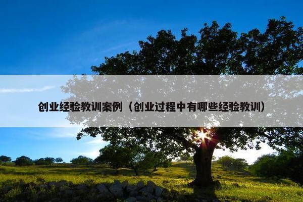 创业经验教训案例（创业过程中有哪些经验教训）