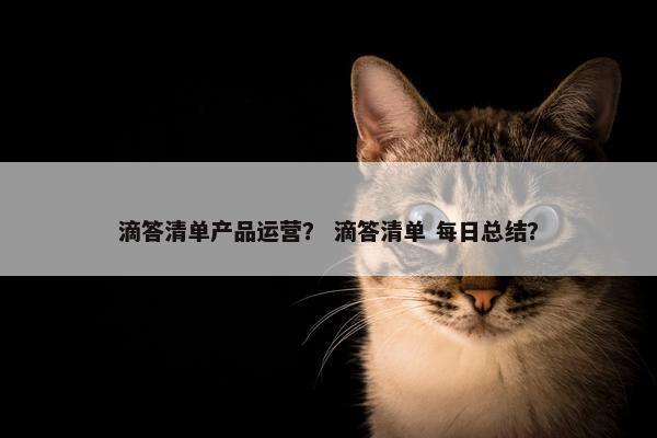 滴答清单产品运营？ 滴答清单 每日总结？