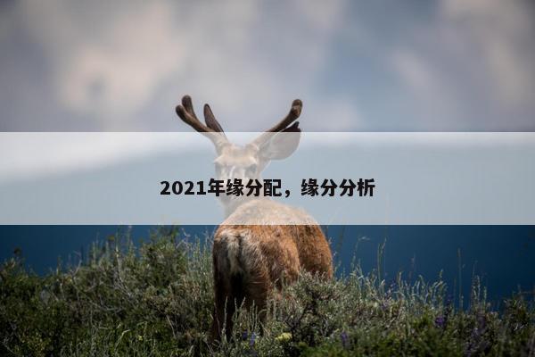 2021年缘分配，缘分分析