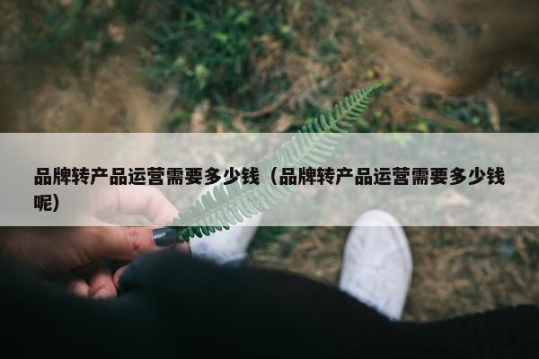 品牌转产品运营需要多少钱（品牌转产品运营需要多少钱呢）