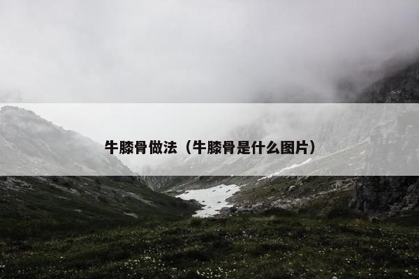 牛膝骨做法（牛膝骨是什么图片）