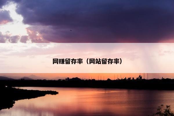 网赚留存率（网站留存率）