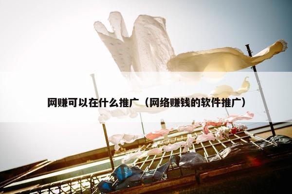 网赚可以在什么推广（网络赚钱的软件推广）