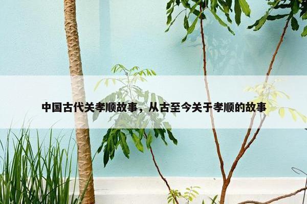 中国古代关孝顺故事，从古至今关于孝顺的故事