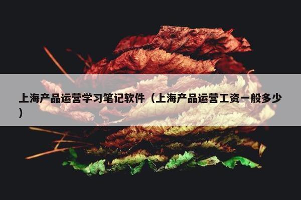 上海产品运营学习笔记软件（上海产品运营工资一般多少）
