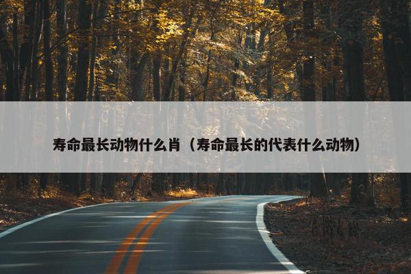 寿命最长动物什么肖（寿命最长的代表什么动物）