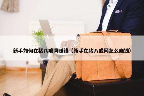 新手如何在猪八戒网赚钱（新手在猪八戒网怎么赚钱）