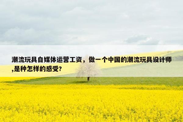 潮流玩具自媒体运营工资，做一个中国的潮流玩具设计师,是种怎样的感受?