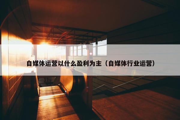 自媒体运营以什么盈利为主（自媒体行业运营）