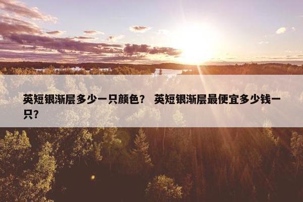 英短银渐层多少一只颜色？ 英短银渐层最便宜多少钱一只？