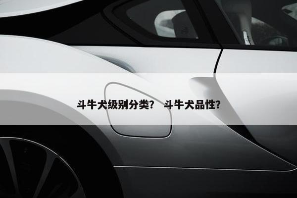 斗牛犬级别分类？ 斗牛犬品性？