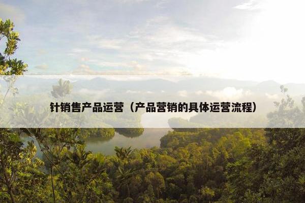 针销售产品运营（产品营销的具体运营流程）