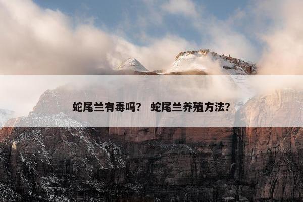 蛇尾兰有毒吗？ 蛇尾兰养殖方法？