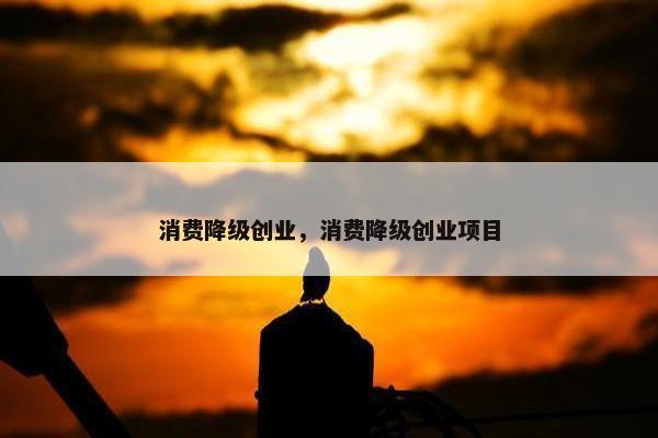 消费降级创业，消费降级创业项目