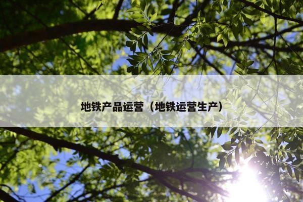 地铁产品运营（地铁运营生产）